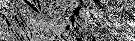 Abstract background. Monochrome texture. Image includes a effect the black and white tones.の写真素材