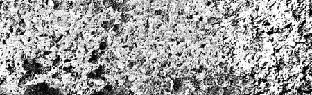 Abstract background. Monochrome texture. Image includes a effect the black and white tones.の写真素材