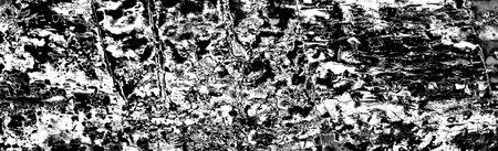 Abstract background. Monochrome texture. Image includes a effect the black and white tones.の写真素材