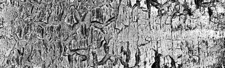 Abstract background. Monochrome texture. Image includes a effect the black and white tones.の写真素材