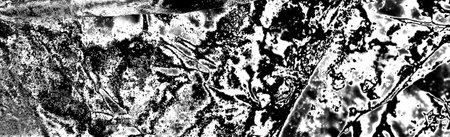 Abstract background. Monochrome texture. Image includes a effect the black and white tones.の写真素材