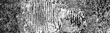 Abstract background. Monochrome texture. Image includes a effect the black and white tones.の写真素材