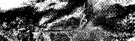 Abstract background. Monochrome texture. Image includes a effect the black and white tones.の写真素材