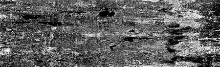 Abstract background. Monochrome texture. Image includes a effect the black and white tones.の写真素材