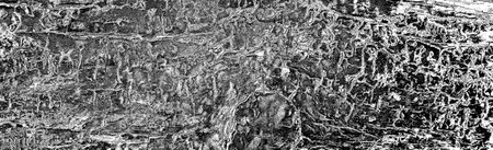 Abstract background. Monochrome texture. Image includes a effect the black and white tones.の写真素材