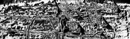 Abstract background. Monochrome texture. Image includes a effect the black and white tones.