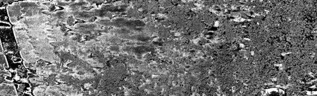 Abstract background. Monochrome texture. Image includes a effect the black and white tones.の写真素材