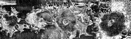 Abstract background. Monochrome texture. Image includes a effect the black and white tones.