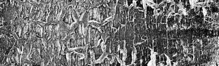 Abstract background. Monochrome texture. Image includes a effect the black and white tones.の写真素材