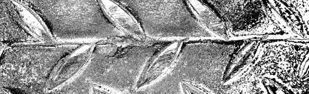 Abstract background. Monochrome texture. Image includes a effect the black and white tones.の写真素材
