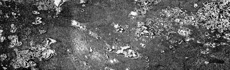 Abstract background. Monochrome texture. Image includes a effect the black and white tones.の写真素材