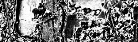 Abstract background. Monochrome texture. Image includes a effect the black and white tones.の写真素材