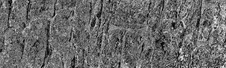 Abstract background. Monochrome texture. Image includes a effect the black and white tones.の写真素材
