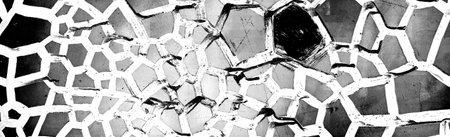 Abstract background. Monochrome texture. Image includes a effect the black and white tones.
