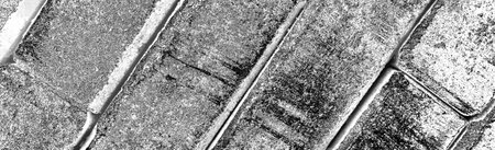 Abstract background. Monochrome texture. Image includes a effect the black and white tones.