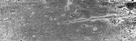 Abstract background. Monochrome texture. Image includes a effect the black and white tones.の写真素材