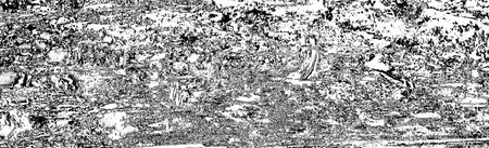 Abstract background. Monochrome texture. Image includes a effect the black and white tones.の写真素材