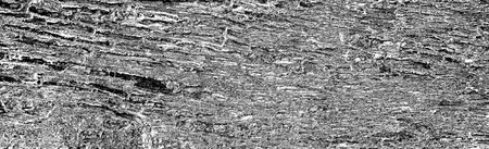 Abstract background. Monochrome texture. Image includes a effect the black and white tones.の写真素材