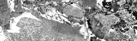 Abstract background. Monochrome texture. Image includes a effect the black and white tones.
