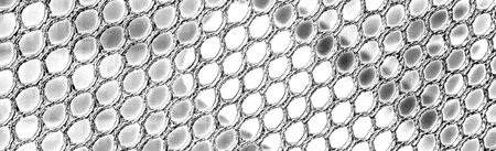 Abstract background. Monochrome texture. Image includes a effect the black and white tones.