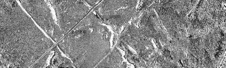Abstract background. Monochrome texture. Image includes a effect the black and white tones.