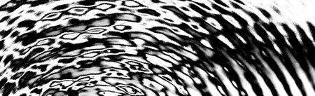 Abstract background. Monochrome texture. Image includes a effect the black and white tones.の写真素材