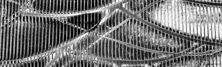 Abstract background. Monochrome texture. Image includes a effect the black and white tones.
