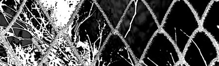 Abstract background. Monochrome texture. Image includes a effect the black and white tones.
