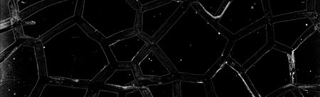 Abstract background. Monochrome texture. Image includes a effect the black and white tones.