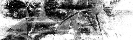 Abstract background. Monochrome texture. Image includes a effect the black and white tones.
