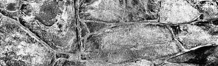 Abstract background. Monochrome texture. Image includes a effect the black and white tones.