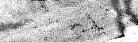 Abstract background. Monochrome texture. Image includes an effect the black and white tones.