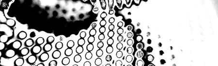 Abstract background. Monochrome texture. Image includes an effect the black and white tones.の写真素材