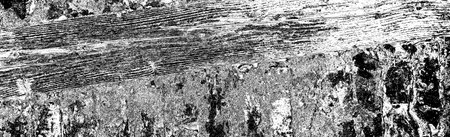 Abstract background. Monochrome texture. Image includes an effect the black and white tones.