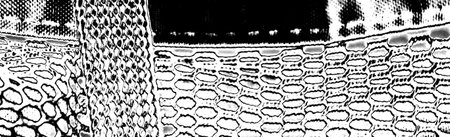 Abstract background. Monochrome texture. Image includes an effect the black and white tones.