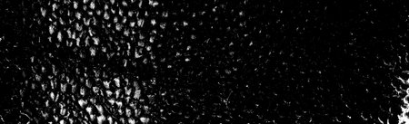 Abstract background. Monochrome texture. Image includes an effect the black and white tones.の写真素材