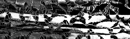 Abstract background. Monochrome texture. Image includes a effect the black and white tones.