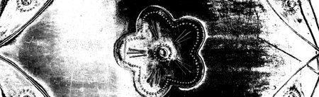 Abstract background. Monochrome texture. Image includes a effect the black and white tones.