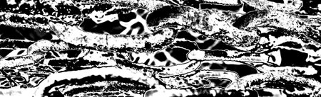 Abstract background. Monochrome texture. Image includes a effect the black and white tones.