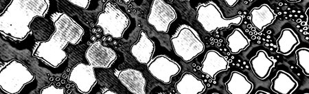 Abstract background. Monochrome texture. Image includes a effect the black and white tones.