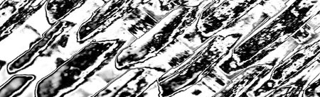 Abstract background. Monochrome texture. Image includes a effect the black and white tones.の写真素材