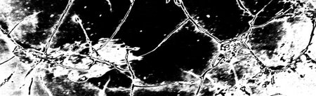 Abstract background. Monochrome texture. Image includes a effect the black and white tones.