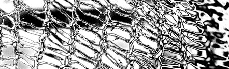 Abstract background. Monochrome texture. Image includes a effect the black and white tones.