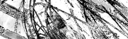 Abstract background. Monochrome texture. Image includes a effect the black and white tones.