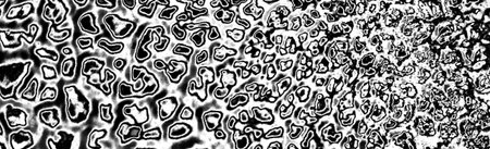 Abstract background. Monochrome texture. Image includes a effect the black and white tones.