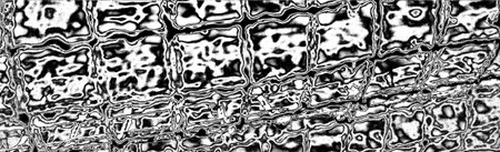 Abstract background. Monochrome texture. Image includes a effect the black and white tones.