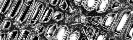 Abstract background. Monochrome texture. Image includes a effect the black and white tones.