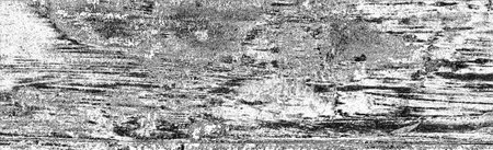 Abstract background. Monochrome texture. Image includes a effect the black and white tones.