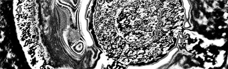 Abstract background. Monochrome texture. Image includes a effect the black and white tones.