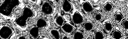 Abstract background. Monochrome texture. Image includes a effect the black and white tones.